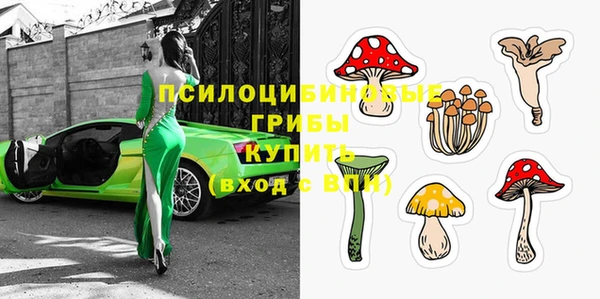 бутират Арсеньев