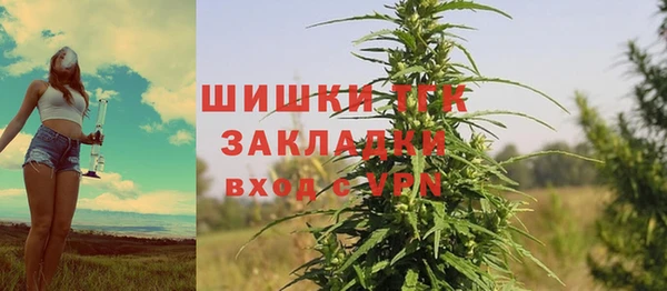 шишки Армянск