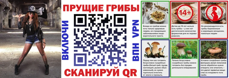 Галлюциногенные грибы GOLDEN TEACHER цены Новомичуринск